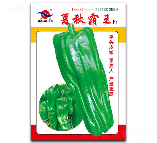 �������-��Ƥ�ݽ��N��-�t�l(f��)�N�I(y��)