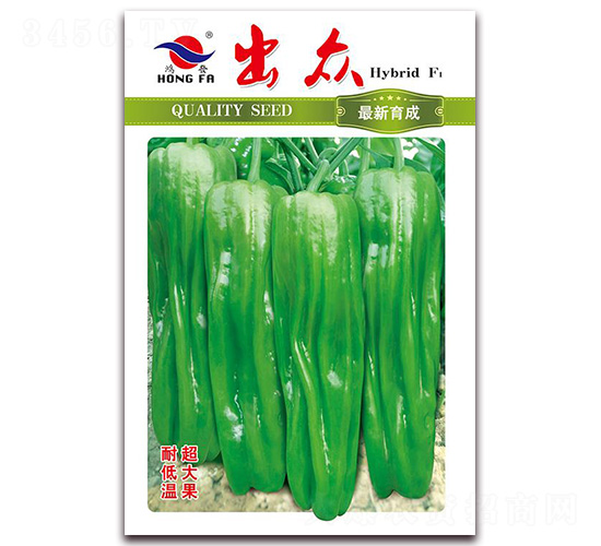 ����-��Ƥ�ݽ��N��-�t�l(f��)�N�I(y��)