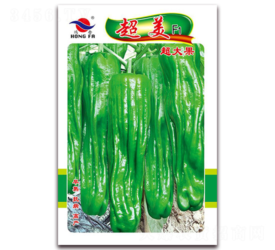 ����-��Ƥ�ݽ��N��-�t�l(f��)�N�I(y��)