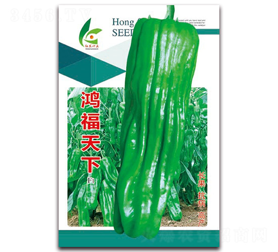 ��������-��Ƥ�ݽ��N��-�t�l(f��)�N�I(y��)