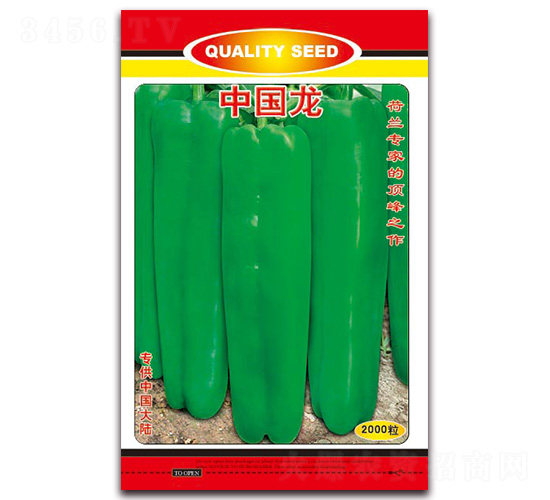 �Ї���-��Ƥ�ݽ��N��-�t�l(f��)�N�I(y��)