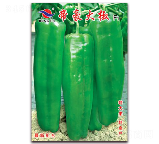 �ۺ���-��Ƥ�ݽ��N��-�t�l(f��)�N�I(y��)