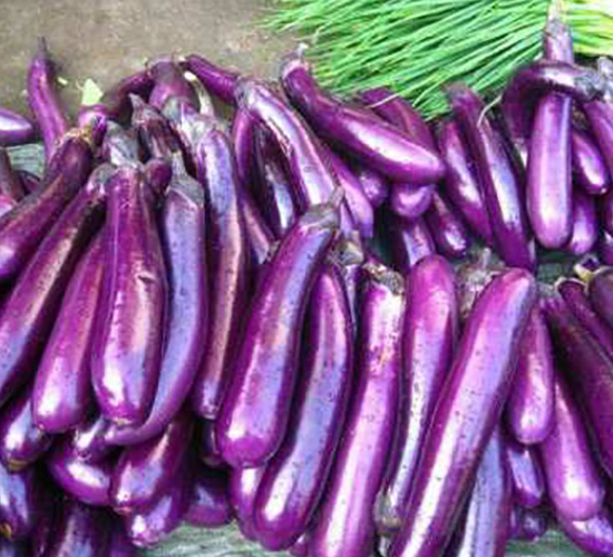 ���ӷN��-��ϣ��