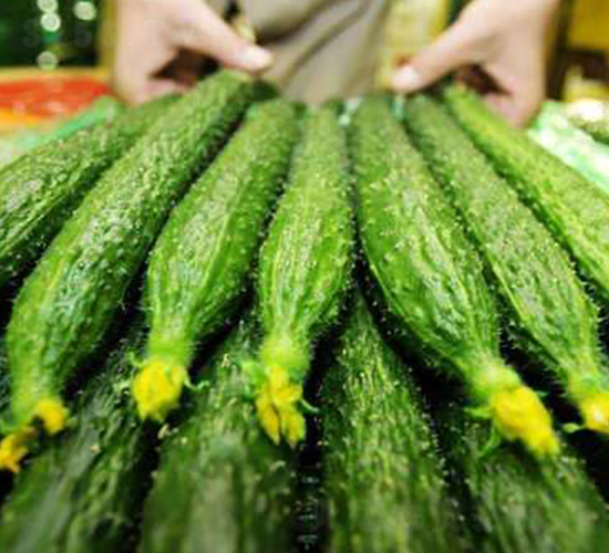 �S�ϷN��-��ϣ��