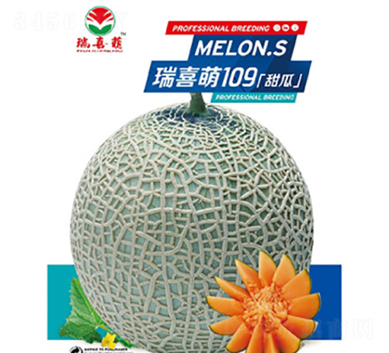 ��ϲ��109-��ϷN��-��ϣ��