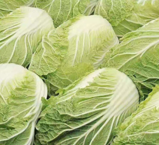 ��ײ˷N��-��ϣ��