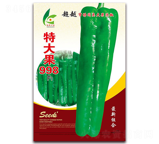 �ش��998-��Ƥ�ݽ��N��-�t�l(f��)�N�I(y��)