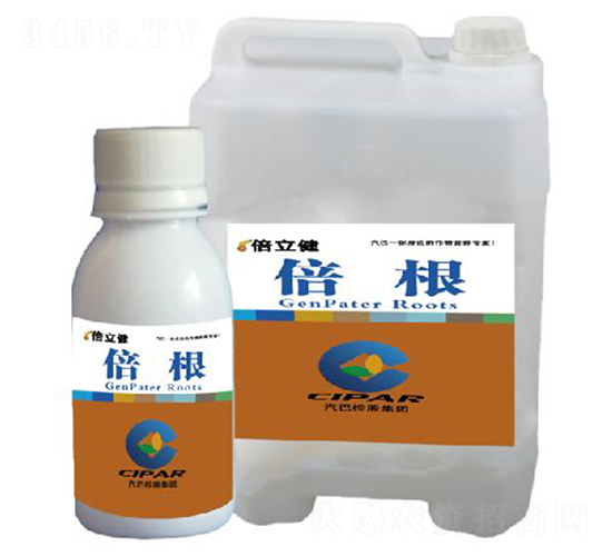 ����-������-�����r(n��ng)�I(y��)