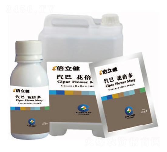 ������-������-�����r(n��ng)�I(y��)