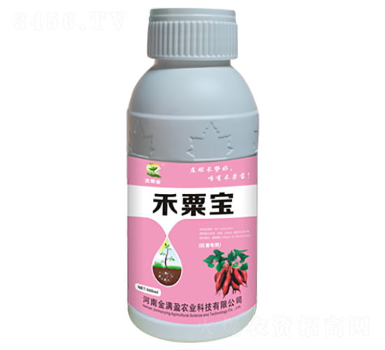 �t��������-���ڌ�-��Mӯ