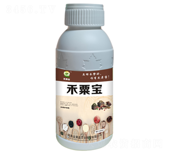 ��ˎ�Ľ�����-���ڌ�-��Mӯ