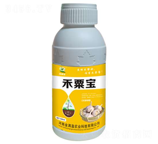 ���⽡����-���ڌ�-��Mӯ