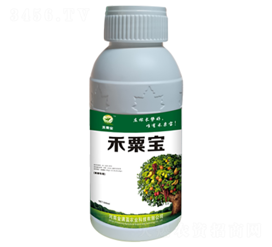 ���佡����-���ڌ�-��Mӯ