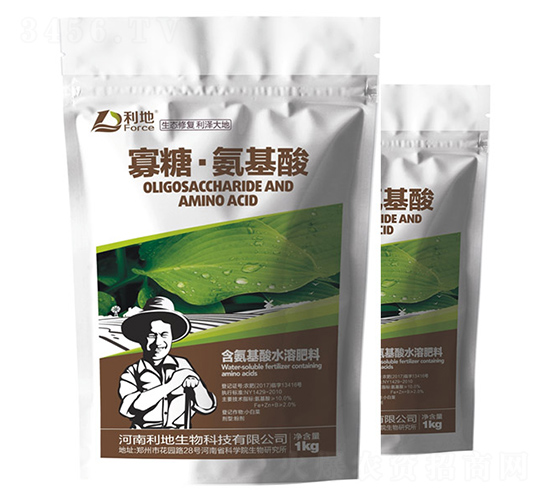 ���ǡ�������-��������