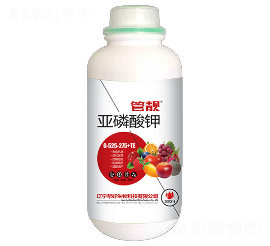 �������0-525-275+TE-���n-�ͺ�����