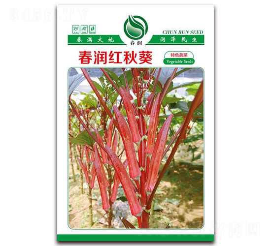 ����(r��n)�t���-�߲˷N��-����(r��n)�N�I(y��)