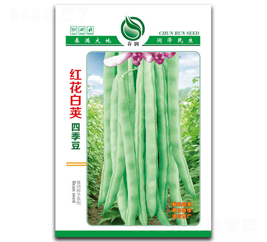 �t�����v�ļ����N��-�����N�I(y��)