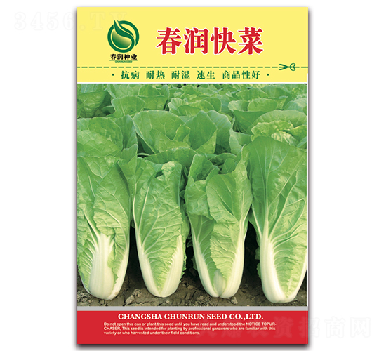 ����(r��n)���-�ײ˷N��-����(r��n)�N�I(y��)