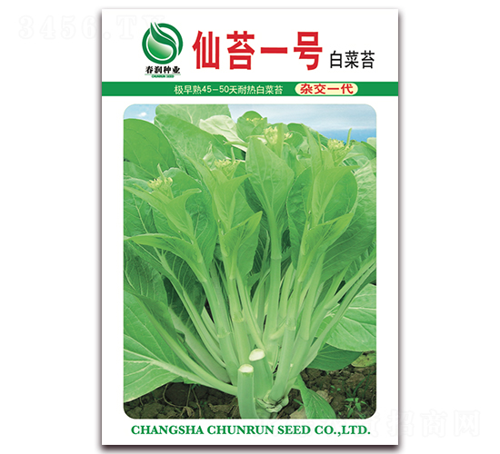 �ɼt��̖-��޷�N��-�����N�I(y��)