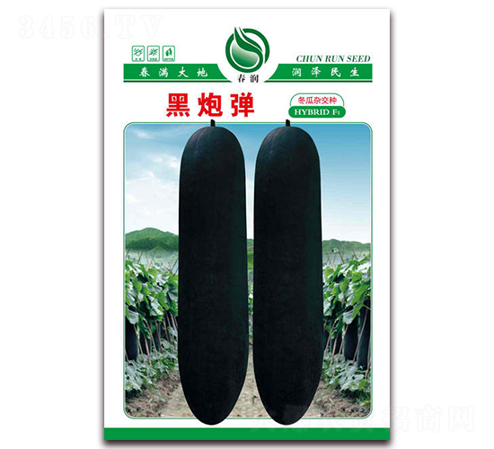 �ڏ���-���ϷN��-�����N�I(y��)