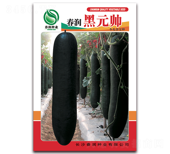 ������Ԫ��-���ϷN��-�����N�I(y��)