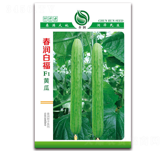 �����׸�F1-�S�ϷN��-�����N�I(y��)