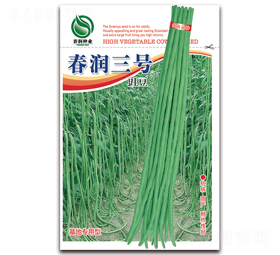 ������̖-�����N��-�����N�I(y��)