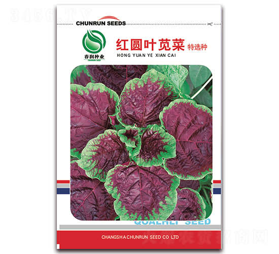 �t�A�~�{��-�{�˷N��-����(r��n)�N�I(y��)