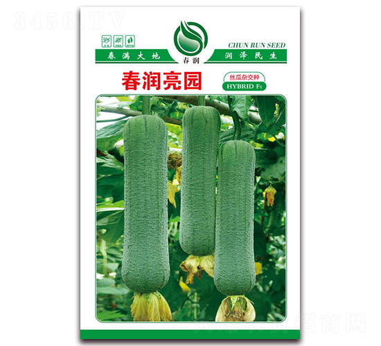 ����(r��n)���@-�z�ϷN��-����(r��n)�N�I(y��)