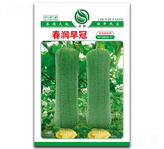 �������-�z�ϷN��-�����N�I(y��)