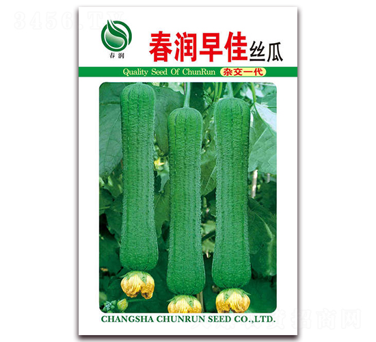 �������-�z�ϷN��-�����N�I(y��)