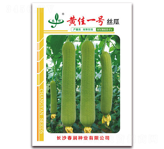 �S��һ̖-�z�ϷN��-�����N�I(y��)