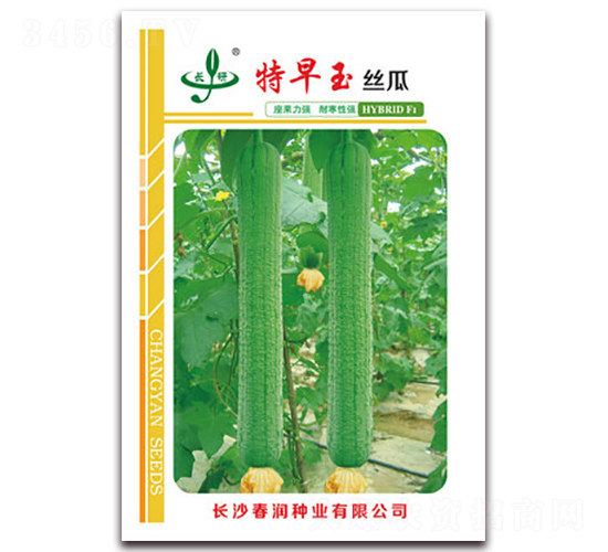 ������-�z�ϷN��-�����N�I(y��)