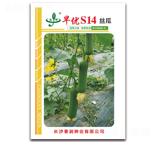 �烞(y��u)S14-�z�ϷN��-�����N�I(y��)