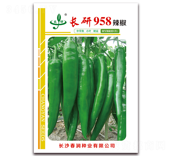 �L(zh��ng)��958-�����N��-����(r��n)�N�I(y��)