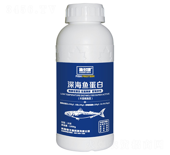 ��~����-ʩ�ཡ-�W˹�D