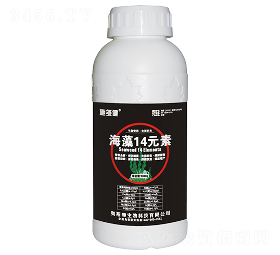 ����14Ԫ��-ʩ�ཡ-�W˹�D