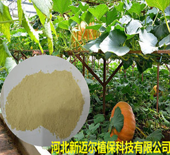 �~�����-���~��