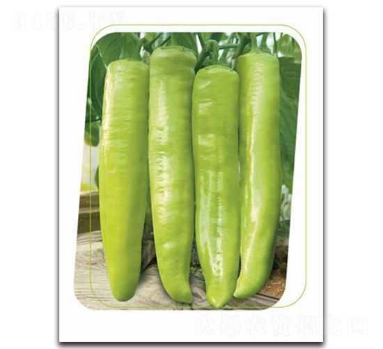 ����-�����N��-����(y��u)�r(n��ng)�I(y��)