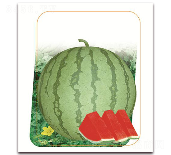 �Ե�-���ϷN��-����(y��u)�r(n��ng)�I(y��)