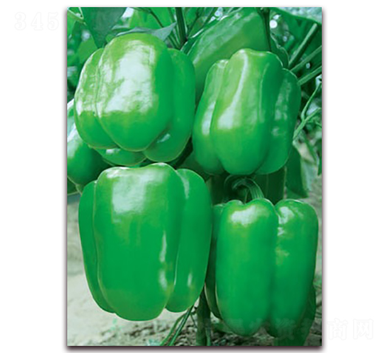 �S��һ̖(h��o)-�����N��-(li��n)�S�N�I(y��)