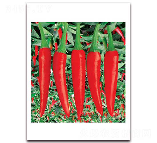 �n����������-���콷�N��-(li��n)�S�N�I(y��)