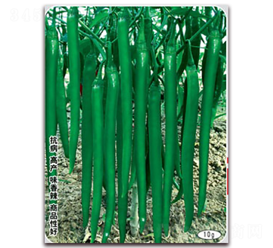 �¸������S��̖(h��o)-�����N��-(li��n)�S�N�I(y��)