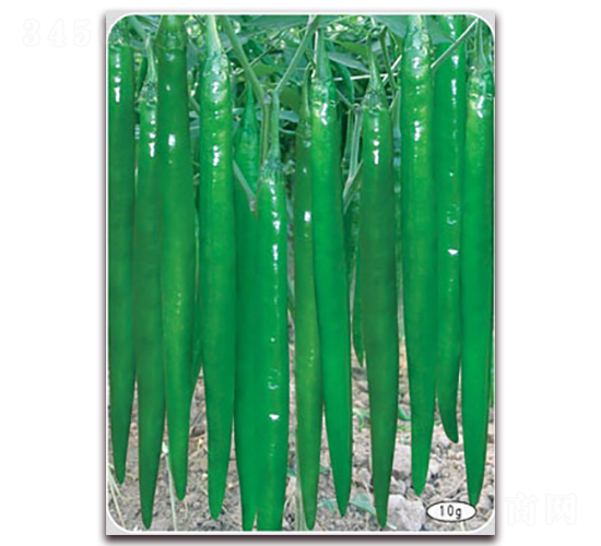 ���S��̖(h��o)-��(xi��n)���N��-(li��n)�S�N�I(y��)