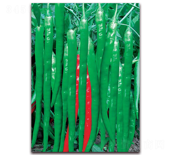 �Gɫ��@-�����N��-(li��n)�S�N�I(y��)