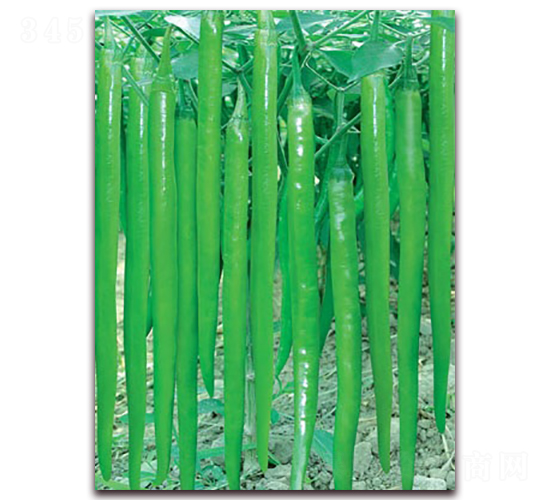 �L��һ̖-�����N��-(li��n)�S�N�I(y��)