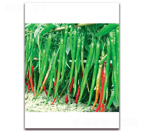 ���x���S��̖-�����N��-(li��n)�S�N�I(y��)