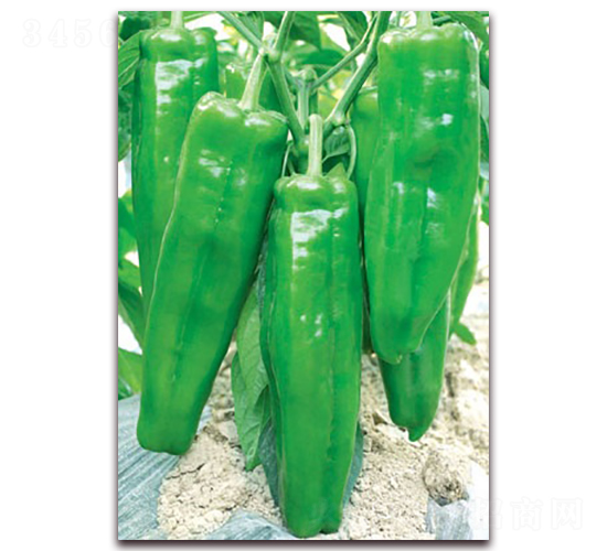 (li��n)�S����-�ݽ��N��-(li��n)�S�N�I(y��)