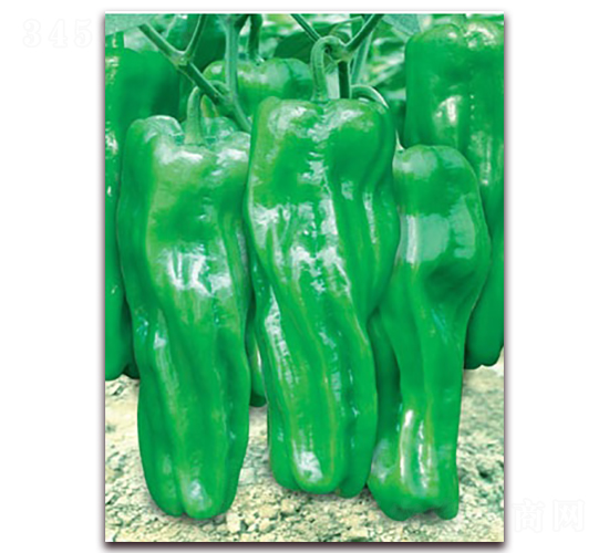 ������-�ݽ��N��-(li��n)�S�N�I(y��)