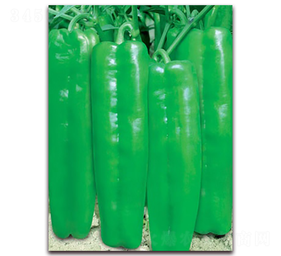 ��������911-�ݽ��N��-(li��n)�S�N�I(y��)